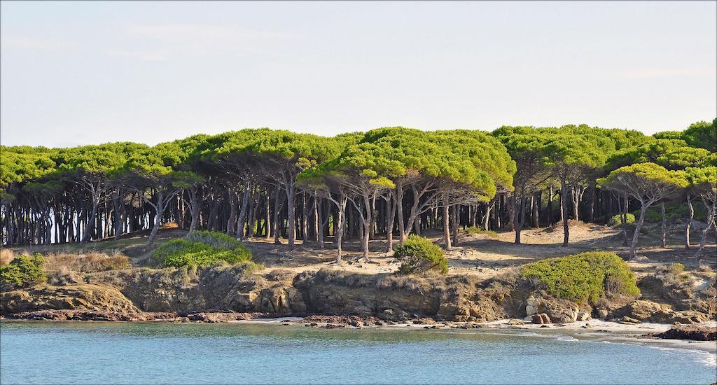 Appartamenti Tanaunella Budoni Exterior foto